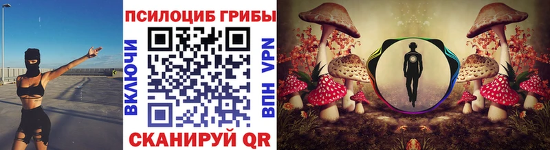 Галлюциногенные грибы мицелий  OMG ссылки  Данков  купить наркотик 